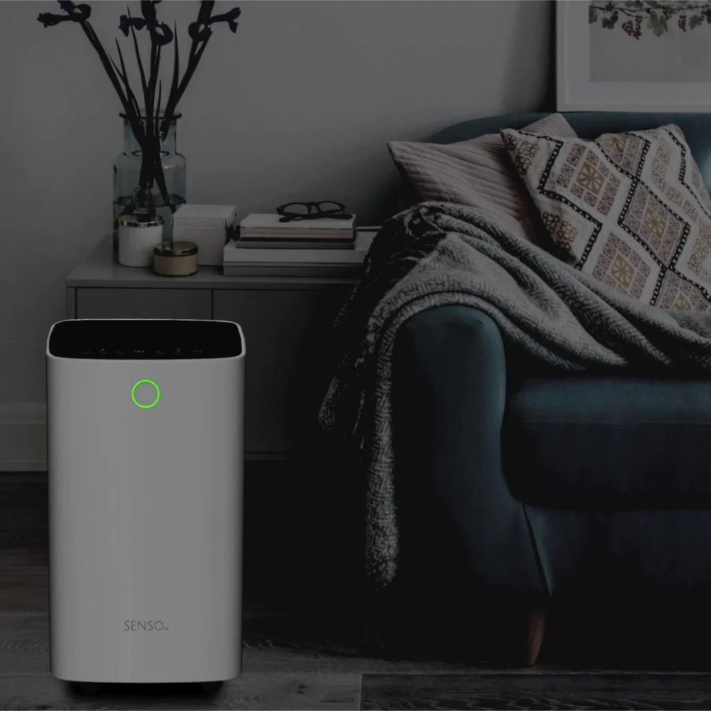 cel mai bun dezumidificator si purificator