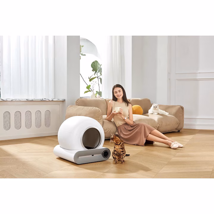 cea mai bun litiera automată pentru pisici