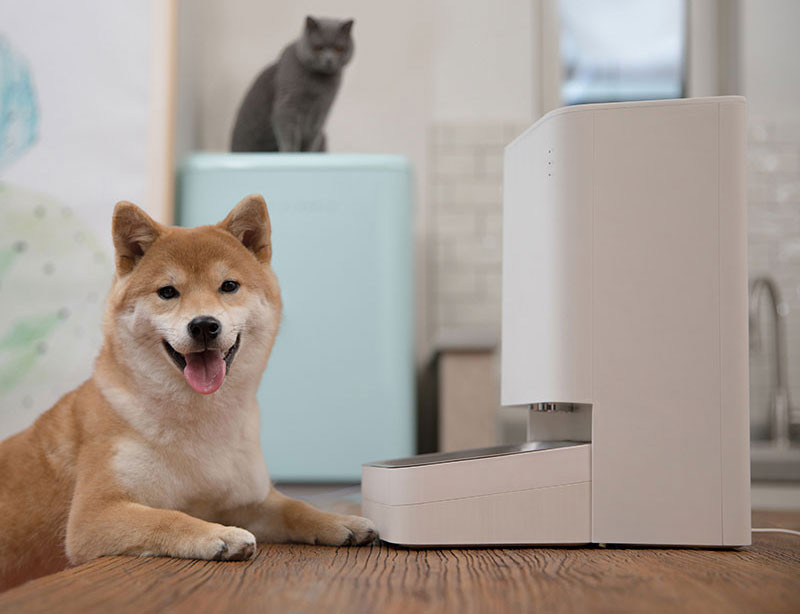 dispenser de mancare sau apa pentru câini pret cel mai bun dispenser de mancare sau apa pentru câini