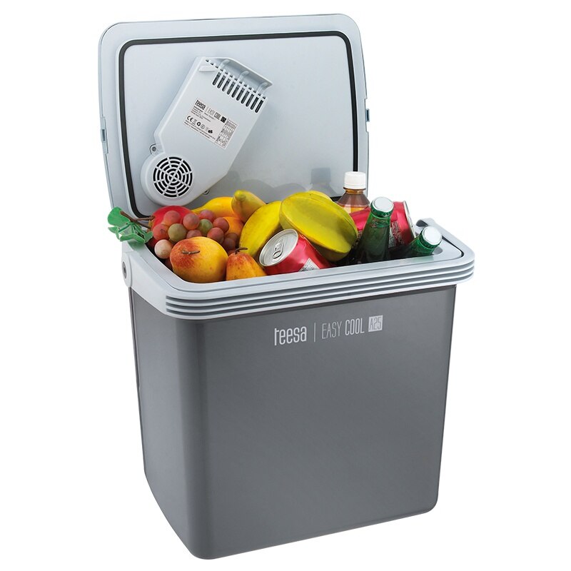 cea mai buna lada frigorifica auto