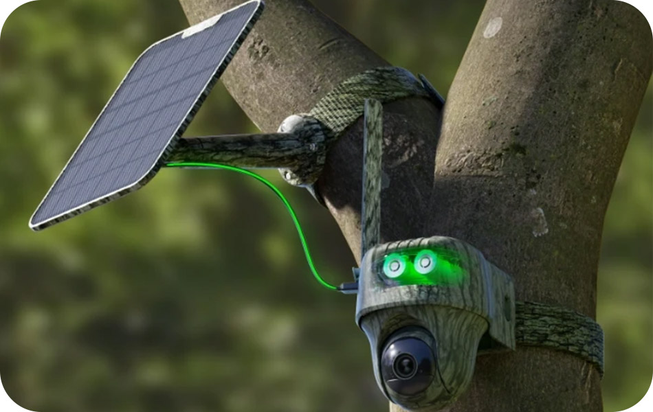 cea mai buna camera de vanatoare